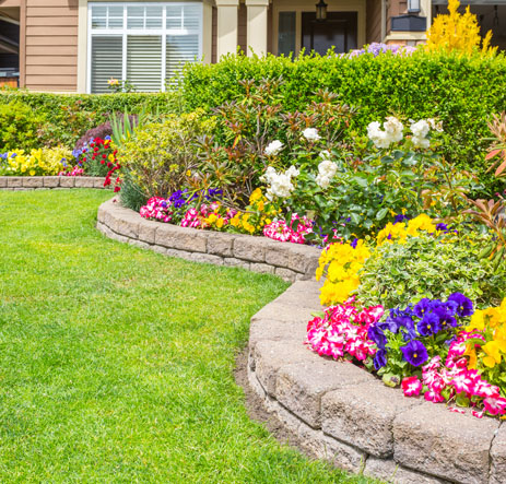 Residential Landscape